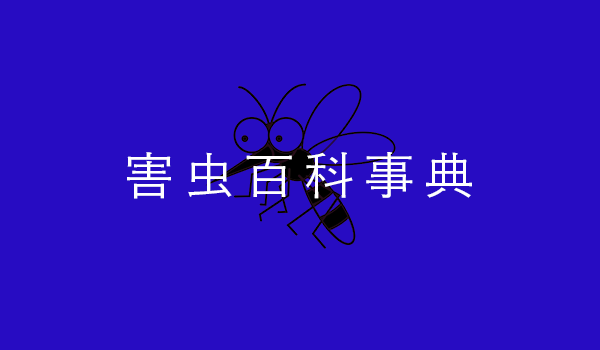お家やオフィスに潜む害虫別対応方法「害虫百科事典」