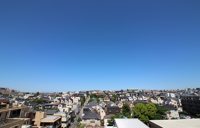 練馬区にゴキブリが多い理由